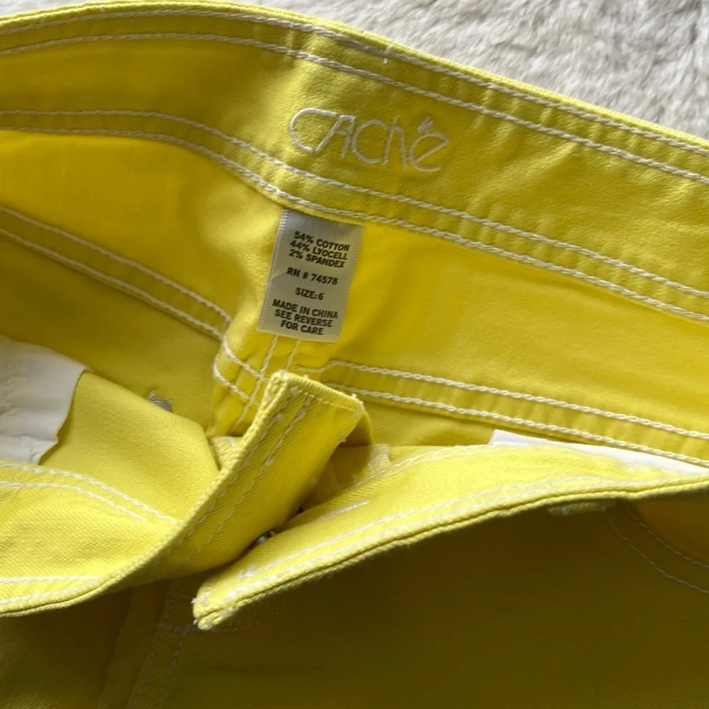 CACHE Skirt (CLST)‎